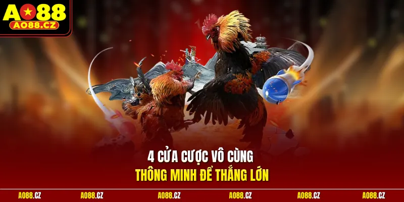 4 cửa cược vô cùng thông minh để thắng lớn